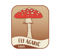 fly agaric mushroom illustration card